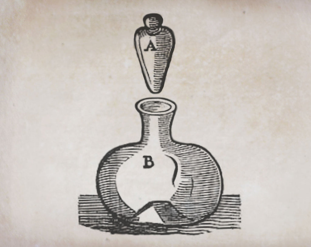 Art of Botanical Perfume Online Course - For Returning Students