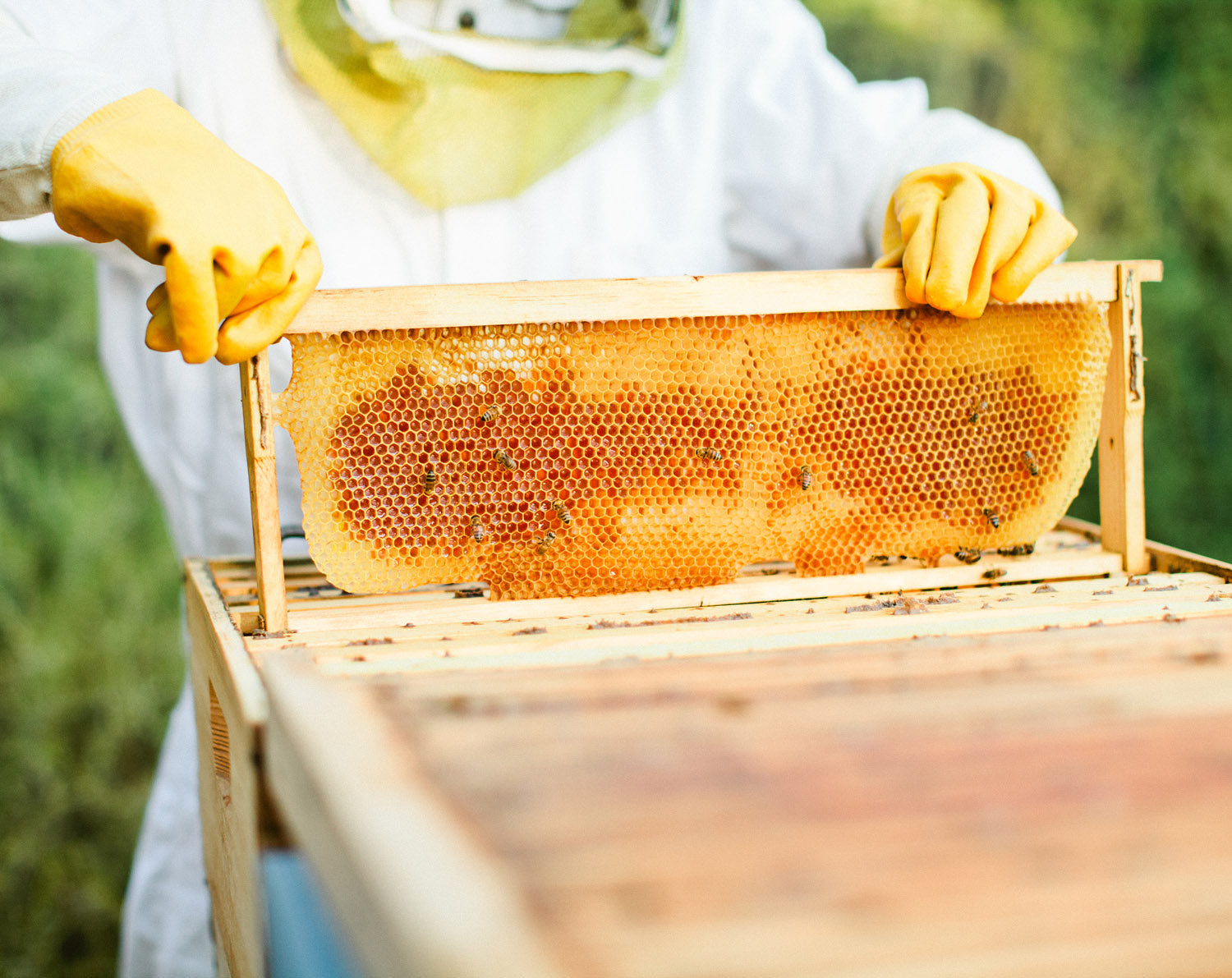 Perfumery Visit - Appointment