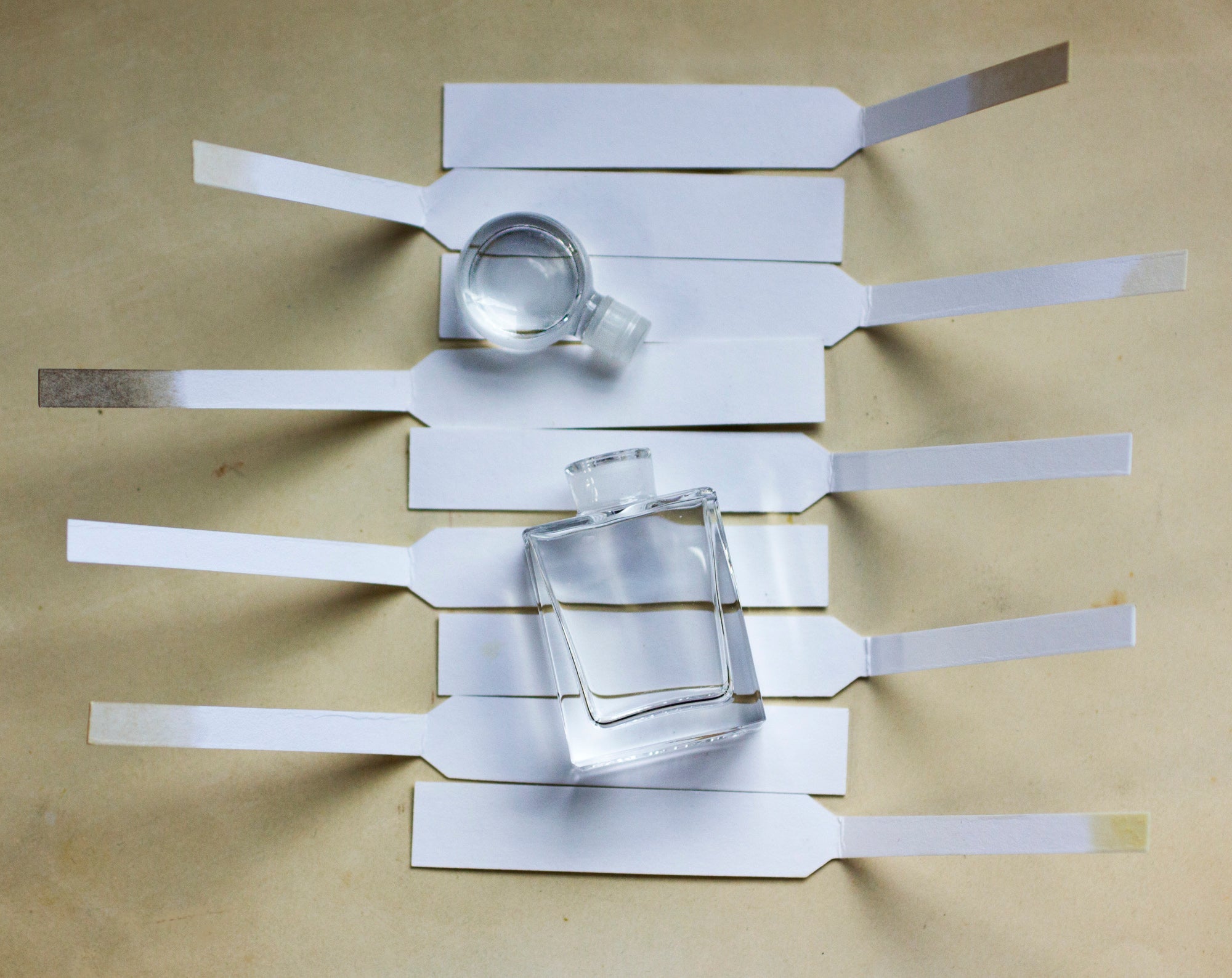 Art of Botanical Perfume Online Course - For Returning Students