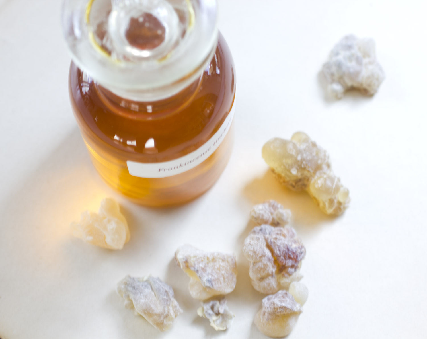 Botanical Perfume Experience