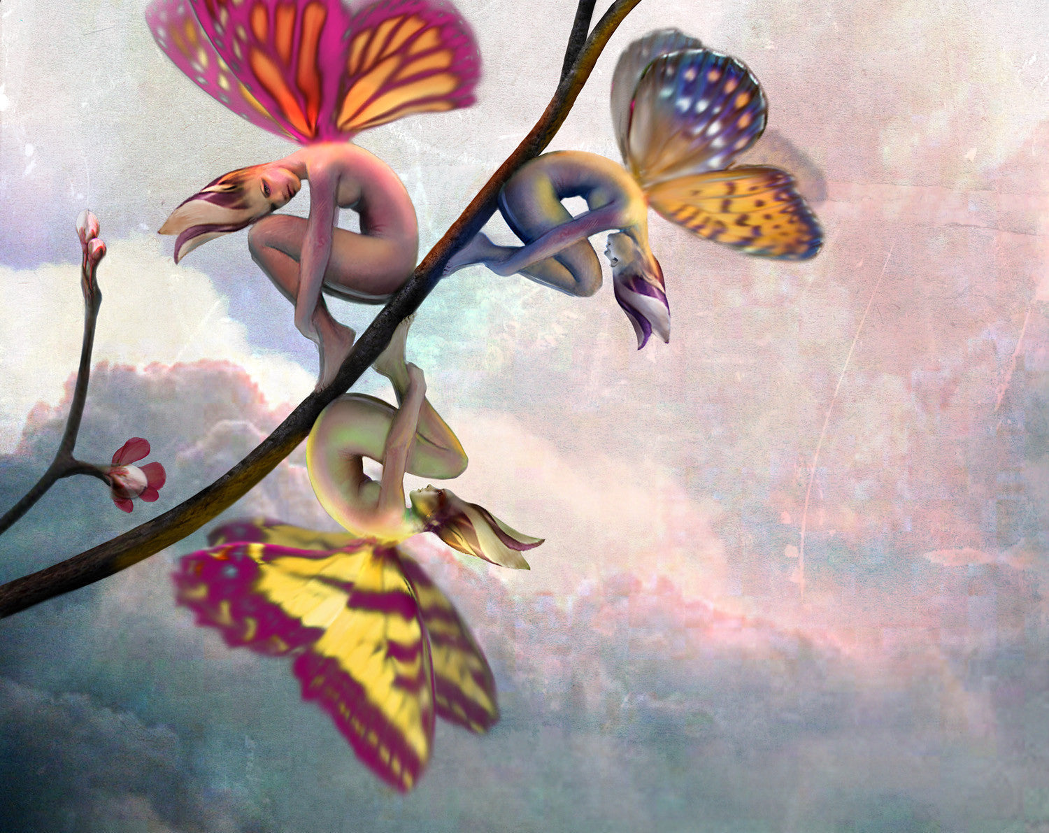 Gracing the Dawn Solid Natural Perfume in Round Jar