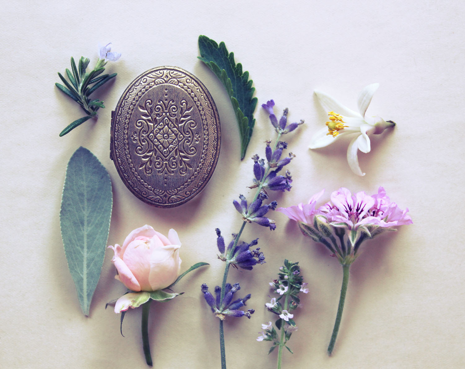 Perfume Consultation