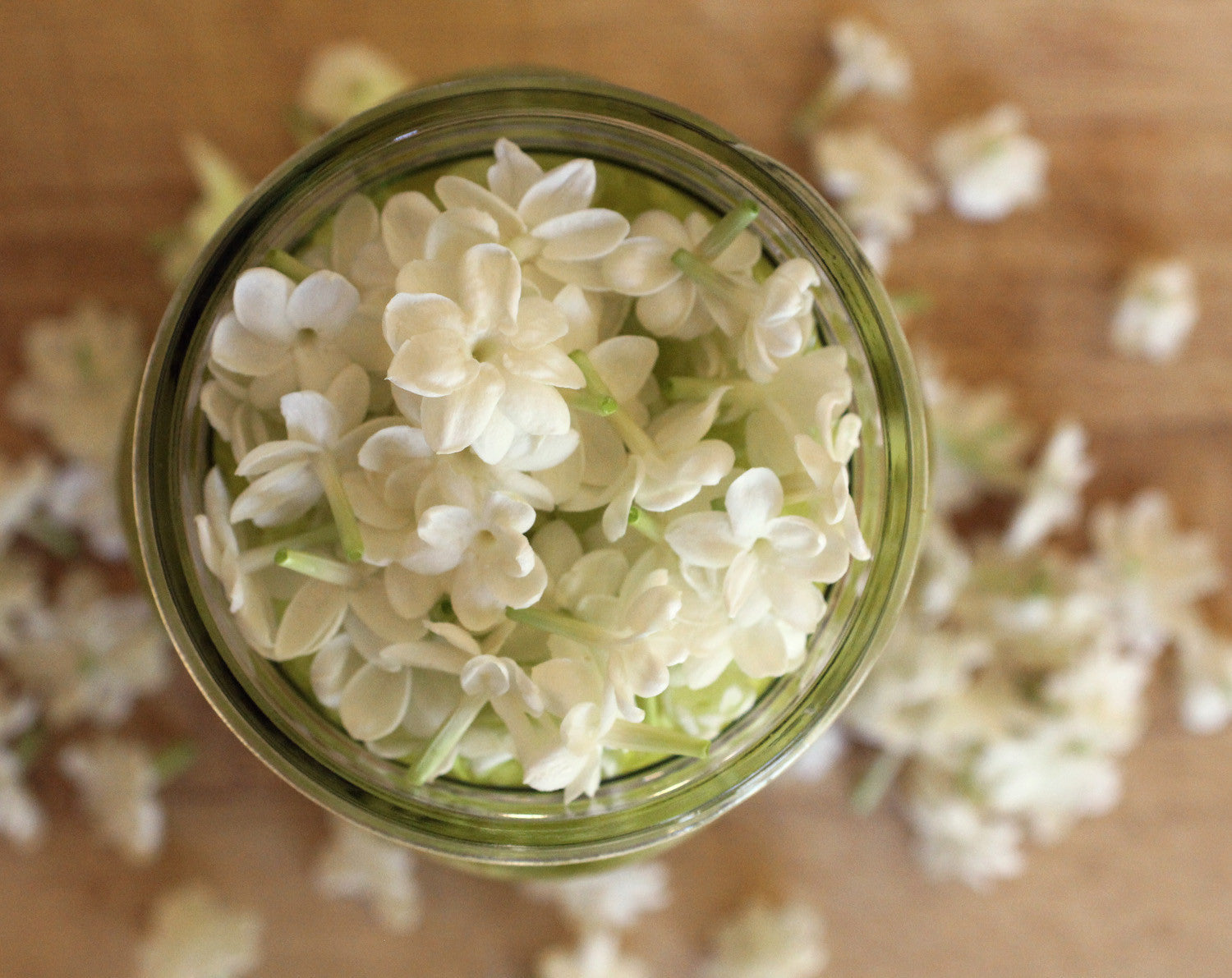 Custom Perfume Mini Session for Three