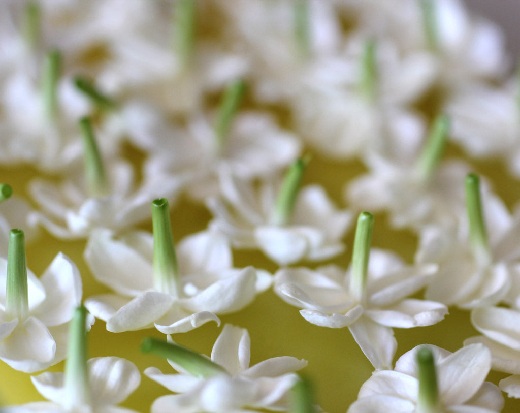 Perfumery Visit - Appointment