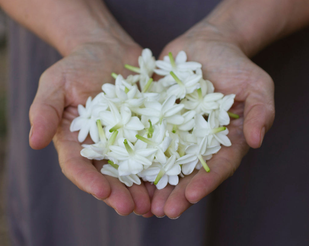 Perfumery Visit - Appointment