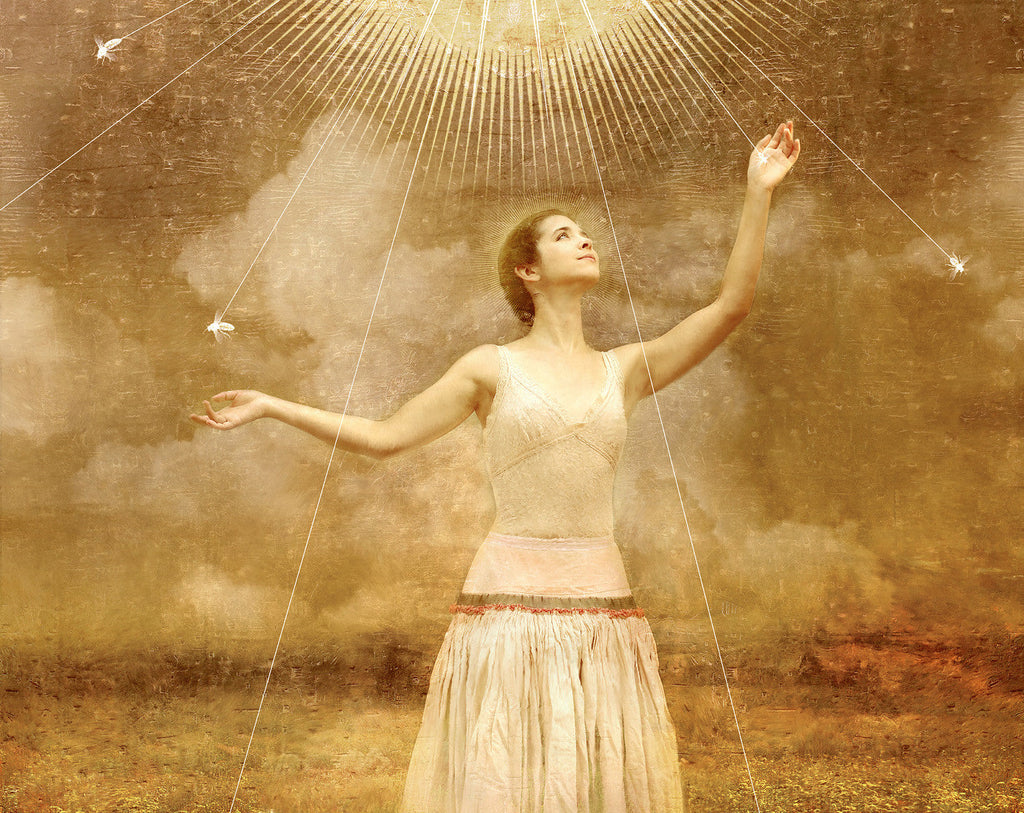 Solid Perfume Discovery Set of Three