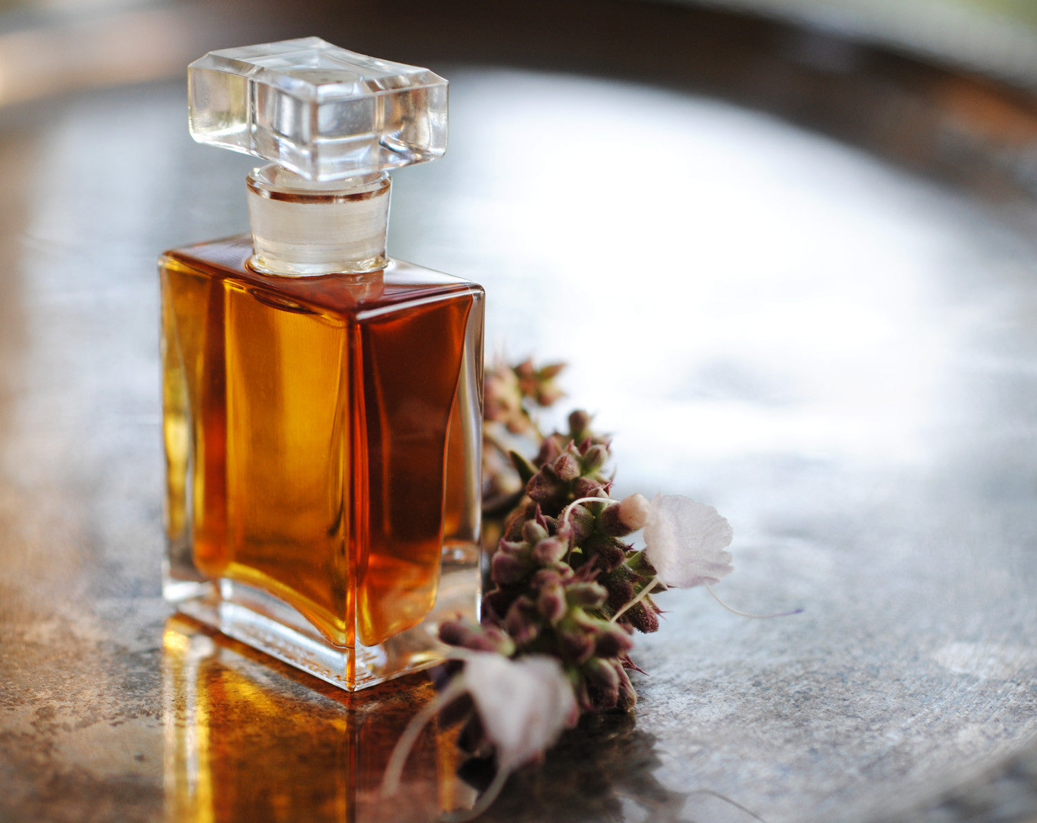 Perfume Consultation