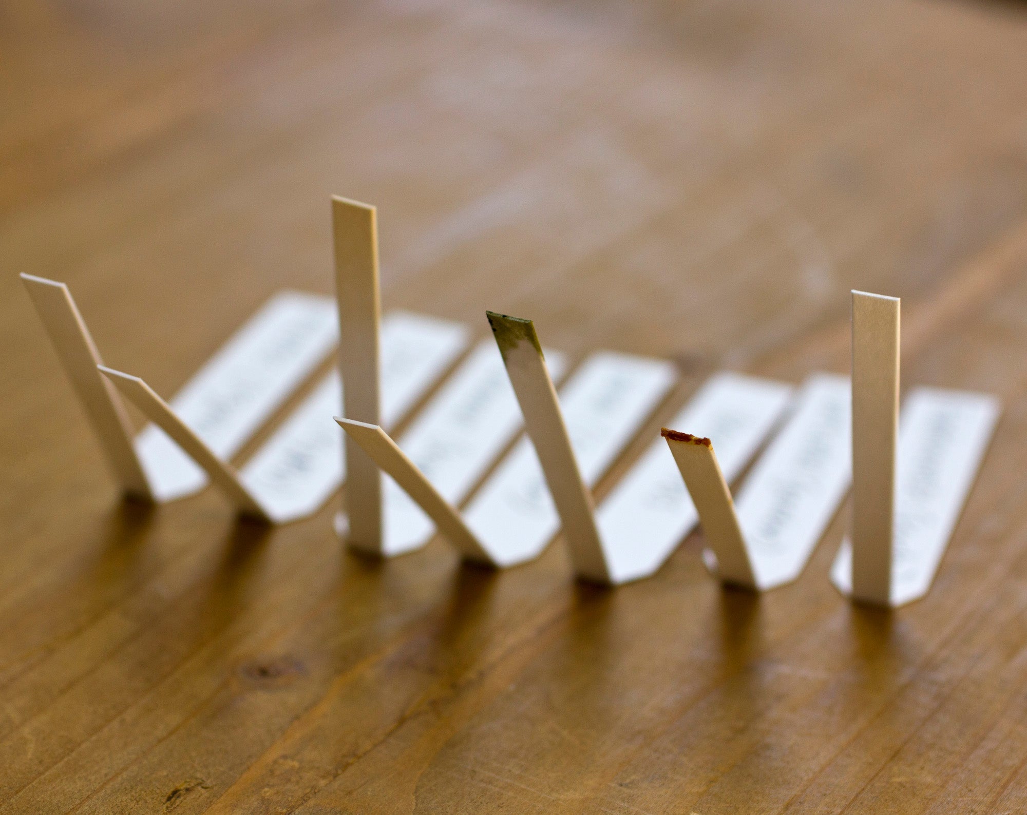 Art of Botanical Perfume Online Course - For Returning Students