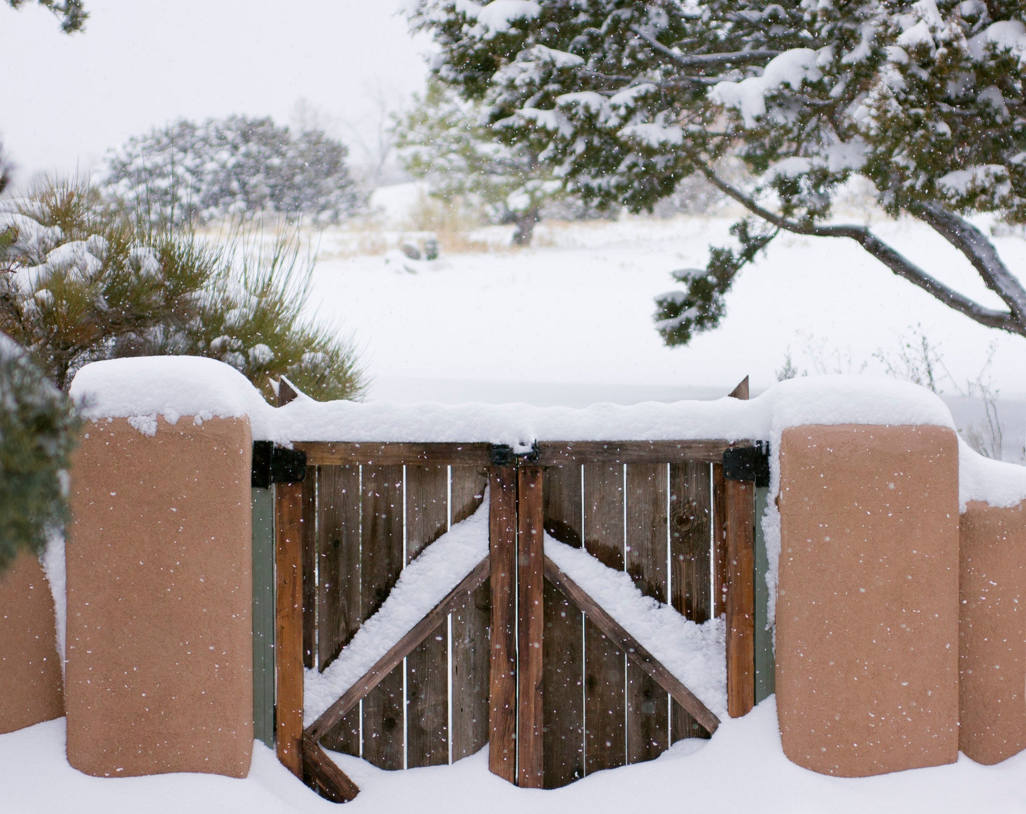 Green Knight Solid Natural Perfume Round Jar
